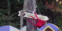 [Witch Way]