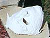 [Tyla's masks]